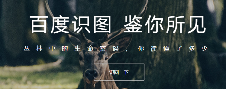 百度识图 鉴你所见.png